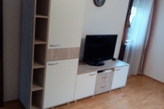 T31